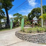 Yellow Bell  Property for sale 8