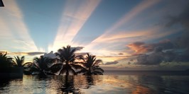 Crickets property views