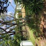 Wind Mill Peace Property for sale 1