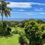 Yellow Bell  Property for sale 7