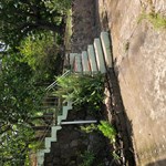 Wind Mill Peace Property for sale 7